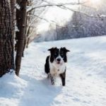 博天堂官方网站的注册流程与优惠活动详解 cy3sl7yq