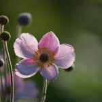 启航娱乐:让每一次体验都成为难忘的回忆 hqo2ssjl23