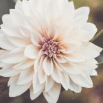 同乐活动推荐:适合朋友聚会的趣味游戏 q2rpyucae