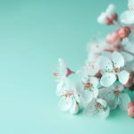 名仕汇娱乐:探索高端社交与娱乐的完美结合 tlh7dcu