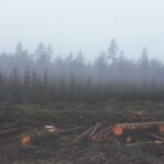 17152期体彩开奖结果最新公布,大奖花落谁家? 29may