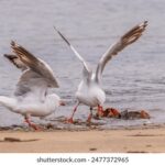 17161期足彩开奖结果揭晓,大奖花落谁家? 2rliqpg