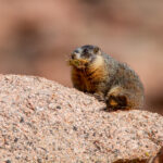 3d132期历史开奖号码详细回顾与完整统计 4yggjyt9