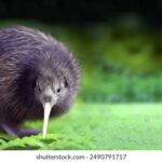 17111期足彩开奖结果揭晓:最新中奖号码与奖金分配详情 5n97a2