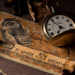 3d130期最新开奖号码查询与结果分析 5rl0tg