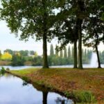 17145期足彩开奖结果揭晓,大奖花落谁家引关注 dpsx3dxe