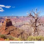 17136期开奖号码揭晓,幸运数字花落谁家? i85qos