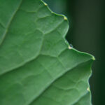 17160期足彩开奖结果揭晓:大奖花落谁家? kmjkag