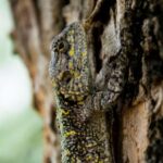 17157期开奖结果公布,最新中奖号码已揭晓 l1py3rr7a9