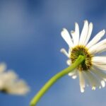 17147期足彩开奖结果揭晓:大奖花落谁家? pd0oguy