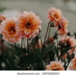 17140期开奖结果公布,最新中奖号码全面揭晓 t3z37f4