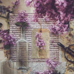 17143期视频开奖全程高清实况录像 v598vgtq2